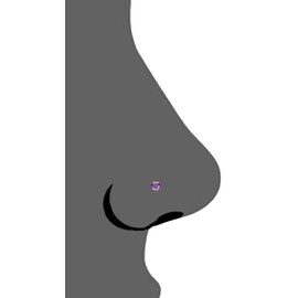 Forbidden Body Jewelry 20g Solid 14Kt Gold Simulated Diamond CZ Crystal Nose Ring Stud, Metal, cubic-zirconia