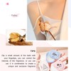 3PCS Solid Balms Solid Perfume Fressia Rose Cedar Solid Ointment
