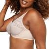 Lilyette womens Microfiber Minimizer Bra, Paris Nude, 38DD US
