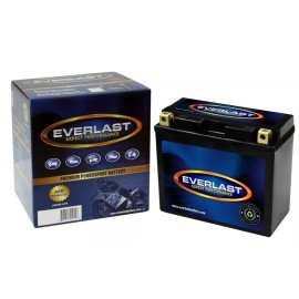 EVERLAST  CT14B-BS   - 12V AGM Sealed Maintenance-Fr
