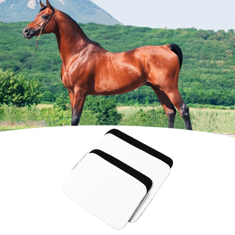 4pcs Horse Fly Leggings Breaathable Abrasion Resistant Horse Leg Wrap