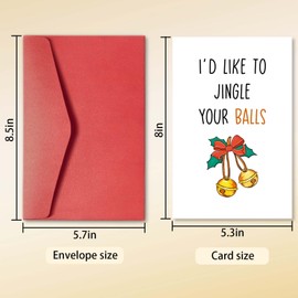 hvdler Raunchy Christmas Card for Lover, Dirty Christmas Card Card for Husband Boyfriend, Naughty Christmas Card, I'd Like To Jingle Your Balls