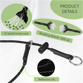 Slip Collar for Dog -16 Inch Dogs Training Collar 1000lbs Paracord 5/32" Thin Reflective Prong Pet Collar with Adjustable Stopper & Stainless Stell O-Ring (Light Blue & Purple)