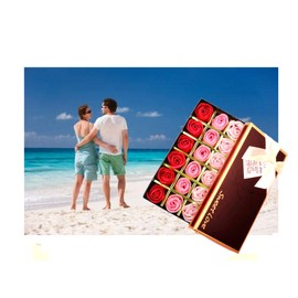 Sweet Love VALENTINE'S SOAP ROSES Gift Box (Red Shades, 18 SOAP ROSES BOX)