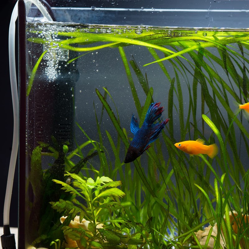 uxcell 4Pcs Clear Elbow Fitting, 25mm/0.98" 2 Way Acrylic Elbow