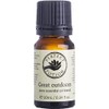 Perfect Potion Great Outdoors Pure Essential Oil Blend 10 ml