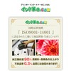 [Ink Revolution] Epson IC6CL80L EPMB1 Compatible Ink 6 Color Set