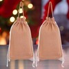 HSOFTIFY 2 Pcs Drawstring Gift Bags with Handle 13x9.8 Inches