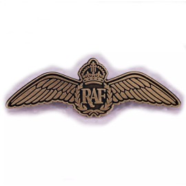 RAF Royal Air Force British UK Vintage Retro Wings Crown Wreath Military 2" Pin