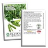 Wando Garden Pea Seeds (Pisum sativum) – 50+ Heirloom Non-GMO