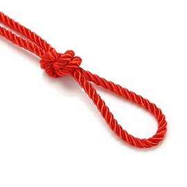 6mm Silky Barley Twist Cord Rope Braid 3 Ply & Matching 16mm Flanged Insertion Piping Furnishing Upholstery Crafts Trimming,36 Colors. High Strength, Neotrims. 10 Yards, Red (Cord)