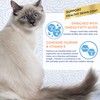 INABA Churu Skin & Coat Natural Lickable Wet Treat for