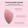 RL REAL LUVIXA Makeup Sponge, Complexion Sponge, Makeup Sponge, Pack