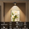 RAHAN Wireless LED Spotlight, 2Pack Battery Powered Picture Lights Puck