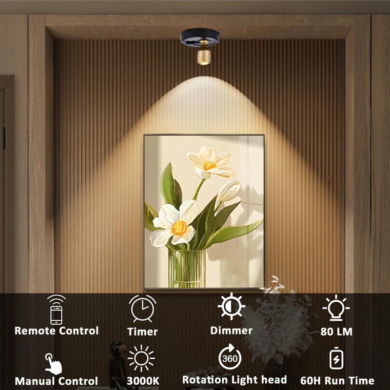 RAHAN Wireless LED Spotlight, 2Pack Battery Powered Picture Lights Puck