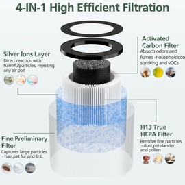 2 Pack DH-JH01/JH06 True HEPA Replacement Filter Compatible with CONOPU DH-JH01 & DH-JH06 Air Purifier, 4-IN-1 Efficient Filtration HEPA H13 Replacement Filter, Blue
