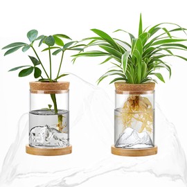 Plant Propagation Station with Mountain-Shaped Bottom - 2Pcs Hydroponic Glass Vases with Bamboo Saucer, Terrarium Jars for Indoor Growing, Desktop Vivarium, Ideal Gifts for Plant Lovers