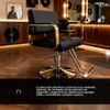 Raganet Silla Hidráulica Profesional Barbería Salón Belleza Base Metálica Redonda