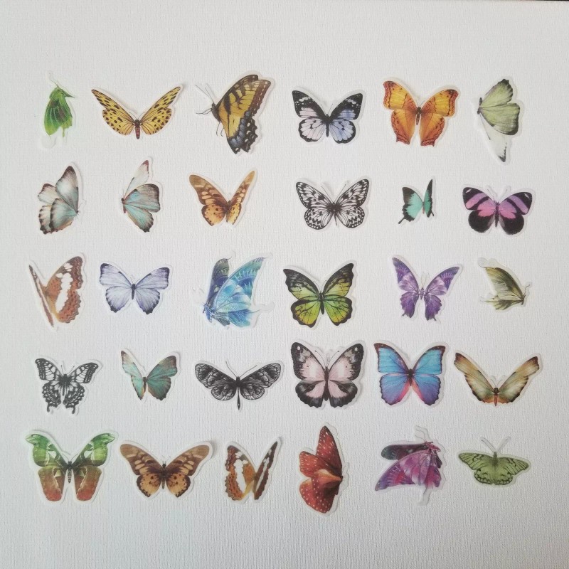Unbranded 240pcs Flower/Butterf