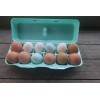 cheep cartons Styrofoam Bulk Egg Cartons (50 pack) Green