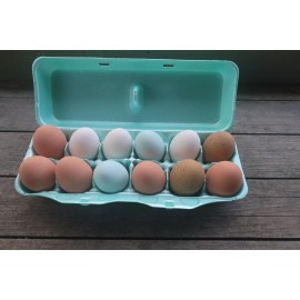 cheep cartons Styrofoam Bulk Egg Cartons (50 pack)  Green