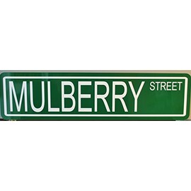 MULBERRY STREET METAL STREET SIGN 6 x 24 MANHATTAN NEW YORK CITY NYC PIZZA PASTA ITALY ITALIAN FOOD WINE CANNOLI BAR GARAGE MAN CAVE RESTAURANT BAKERY CAFE SHOP HOME OFFICE WALL ART GIFT