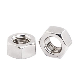 304 (SUS) Stainless Steel Hex Nuts for M6 75 Pcs DIN934