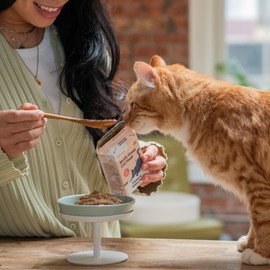 TUFT + PAW Really Great Cat Food Cage Free Chicken & Rabbit Stew, High Protein Wet Cat Food with Pumpkin and Salmon Oil, No fillers or Additives - 5.5oz (Pack of 12)