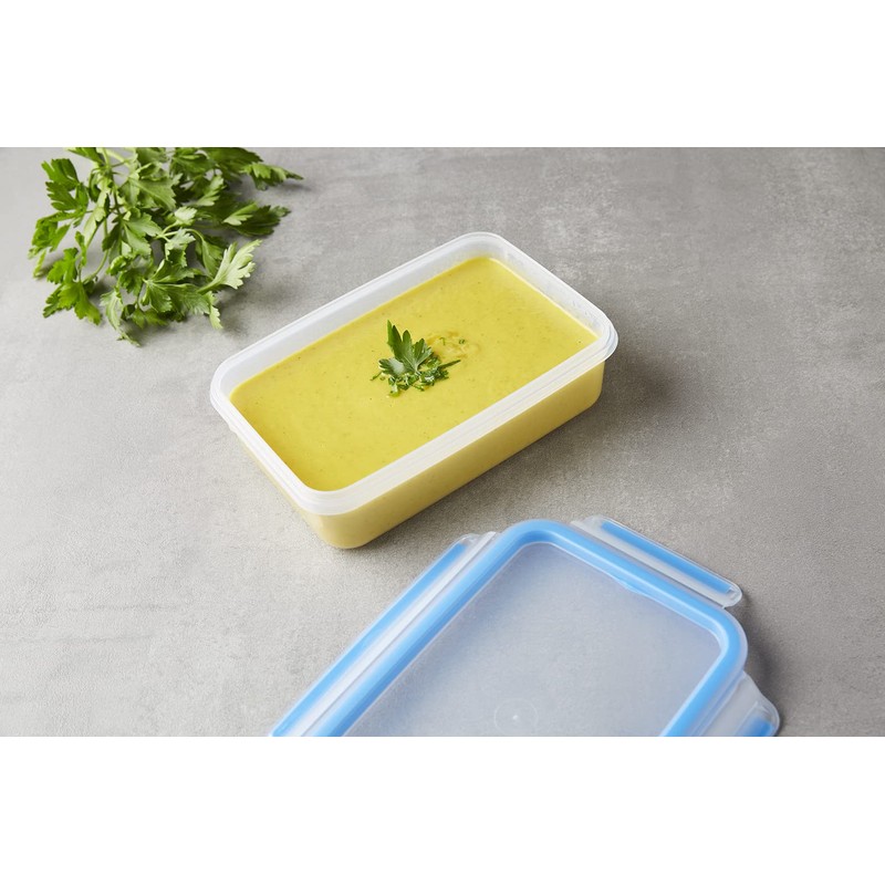 Tefal Masterseal Fresh – Plastic Food Box, Plastic, Blue, 0.8