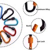 Feloyal 10 Pcs Aluminum Alloy D Hook Keychain Carabiner Clip