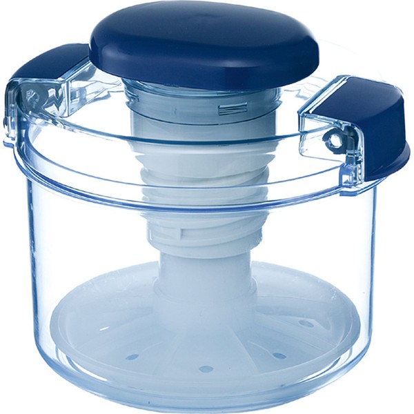 Squirrel R-10 Instant Pickle Container, Round Shape, Clear Blue, 29.4 fl oz (840 ml), High Pet Recipe Included, Made in Japan