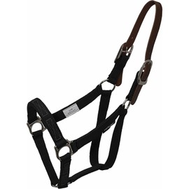 Thinline Turnout Halter for Use with Grazing Muzzle | Horse Equine Safe Comfortable Adjustable Breakaway Halter, Medium Mini