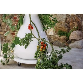 Lettuce Grow 24 inch Plant Dolly with Wheels, White, Indoor or Outdoor, Planter Caddy for Potted Plants, Farmstand and Nook and More, 4" Height 500lb max Capacity
