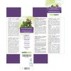 Lungwort (Pulmonaria officinalis) herb with Flowers Alcohol-Free Mother Tincture Naturalma