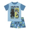How To Train Your Dragon Boys Pajamas, Toothless Boys Pjs,