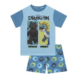 How To Train Your Dragon Boys Pajamas, Toothless Boys Pjs, Dragon Summer Pjs For Kids, Blue 10