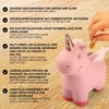 Ceramic Piggy Bank for Writing on with Chalk - Chalkboard
