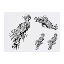 4 x 'Majestic Phoenix' Temporary Tattoos - Water Resistant, Skin-Safe, Non-Toxic Transfers, Mixed Sizes (TO00075216)