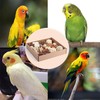 LimCryspp Natural Foraging and Biting Toy Box, an Interactive Biting
