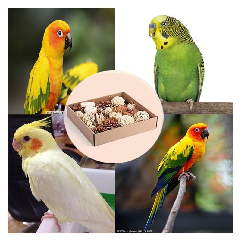 LimCryspp Natural Foraging and Biting Toy Box, an Interactive Biting