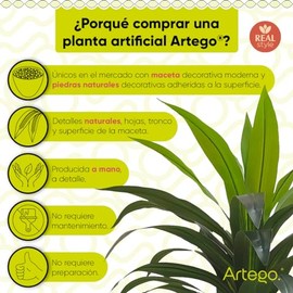 Artego Planta Artificial Decorativa Moderna con Maceta hogar Sala Comercio Oficina (Dracaena Palo de Brasil 150, 150cm)                               