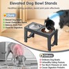 Elevated Dog Bowls Large Breed XiaZ Raised Dog Bowl Stands