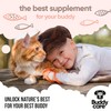 Buddycare Buddycare Scottish Salmon Oil for Dogs and Cats (500ml