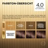 L'Oréal Paris Permanent Hair Colour, Hair Dye Set with Colouration