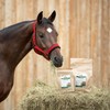 EWALIA Muscle Pack for Horses: Powerful Protein Source with Spirulina,