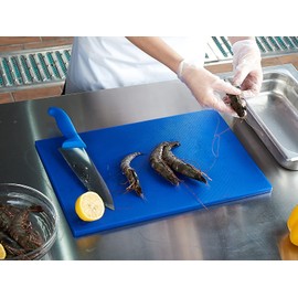 CURTA Cutting Boards for Kitchen, 18" x 12" x 0.5" Blue Color Coded Plastic Chopping Board with Anti Slip Surface Dishwasher Safe …