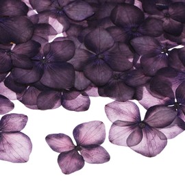 M METERXITY 60-Pack Dried Pressed Flowers for Resin, Real Natural Bulk Dry Floral for Crafts/DIY Jewelry/Soap Making/Scrapbooking/Candle/Epoxy Resin Supplies [Dark Purple]
