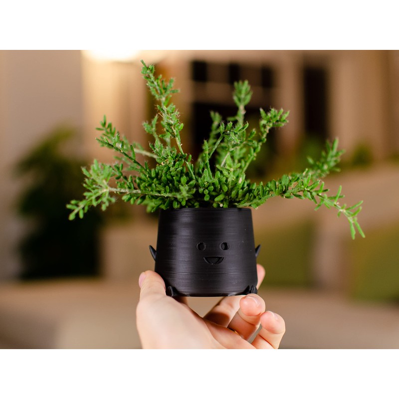 PlantMe Smira Smiles Flower Pot (6 cm, Black)