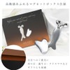 [Magazine Items] Terahertz Cassa Plate & Face Roller, Facial Massage