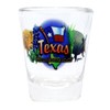 Texas Lone Star State Elements Shot Glass